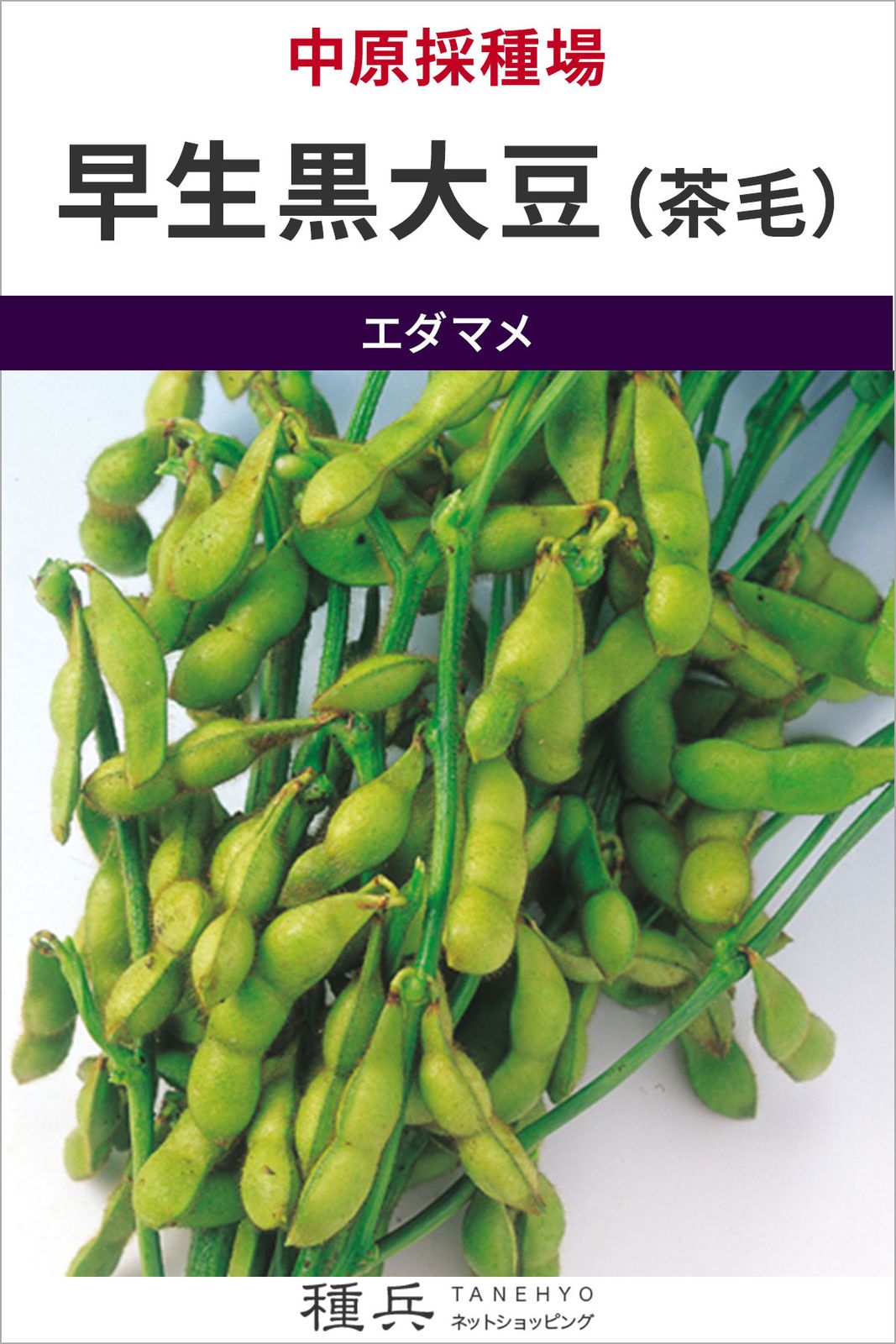 エダマメ 種 『早生黒大豆（茶毛）』  中原採種場