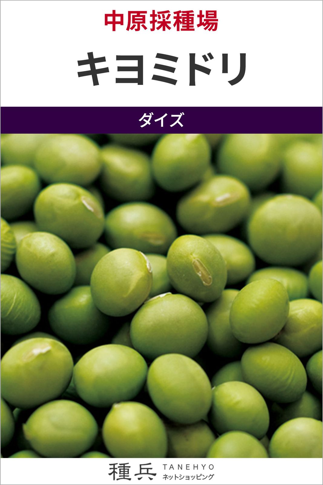 青大豆 種 『キヨミドリ』  中原採種場