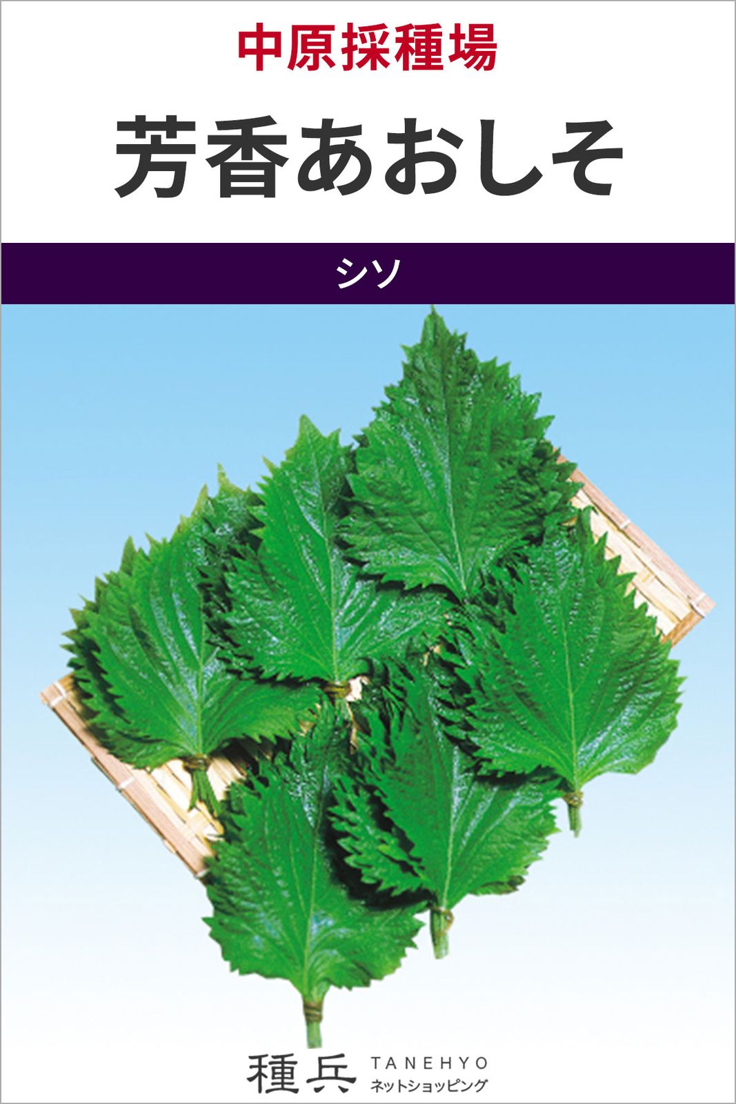 シソ 種 『芳香あおしそ』  中原採種場
