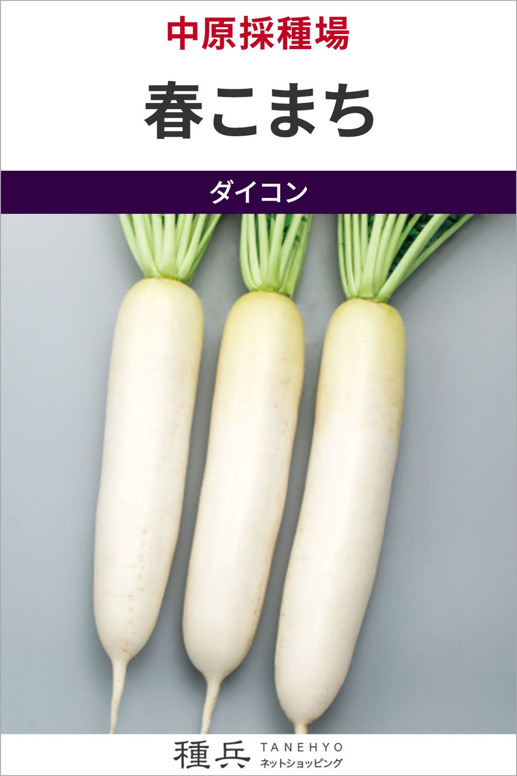 ダイコン 種 『春こまち』  中原採種場