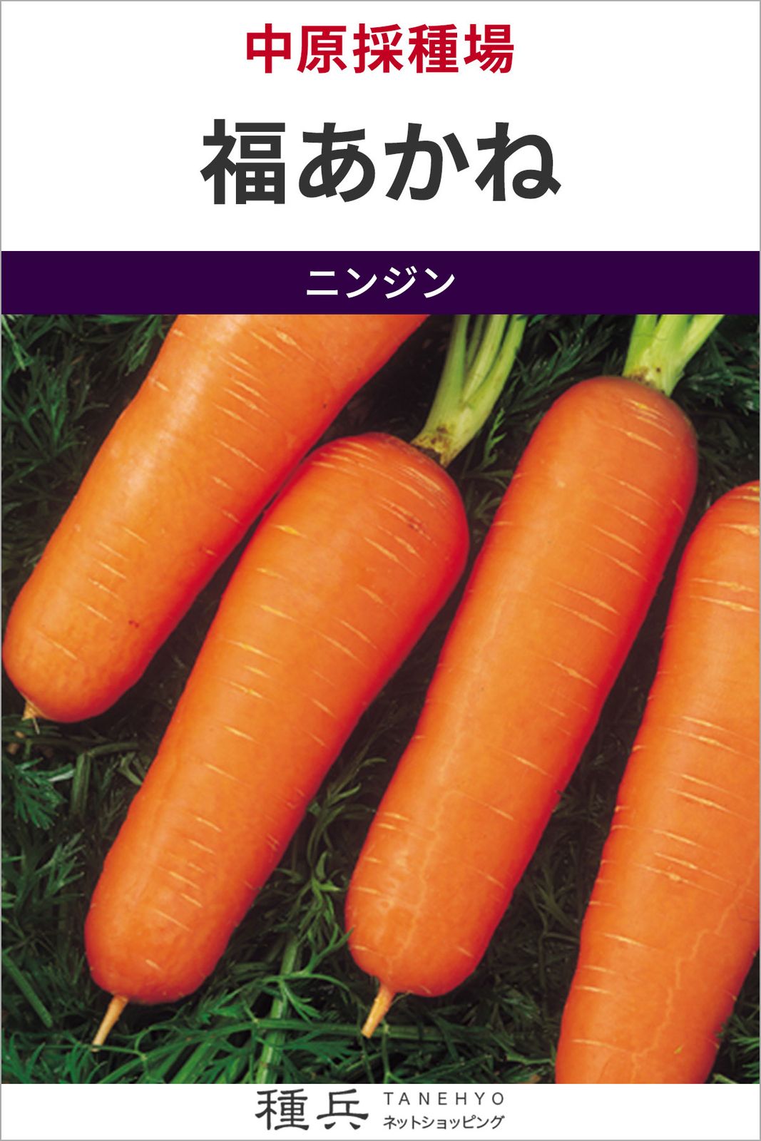 ニンジン 種 『福あかね』  中原採種場