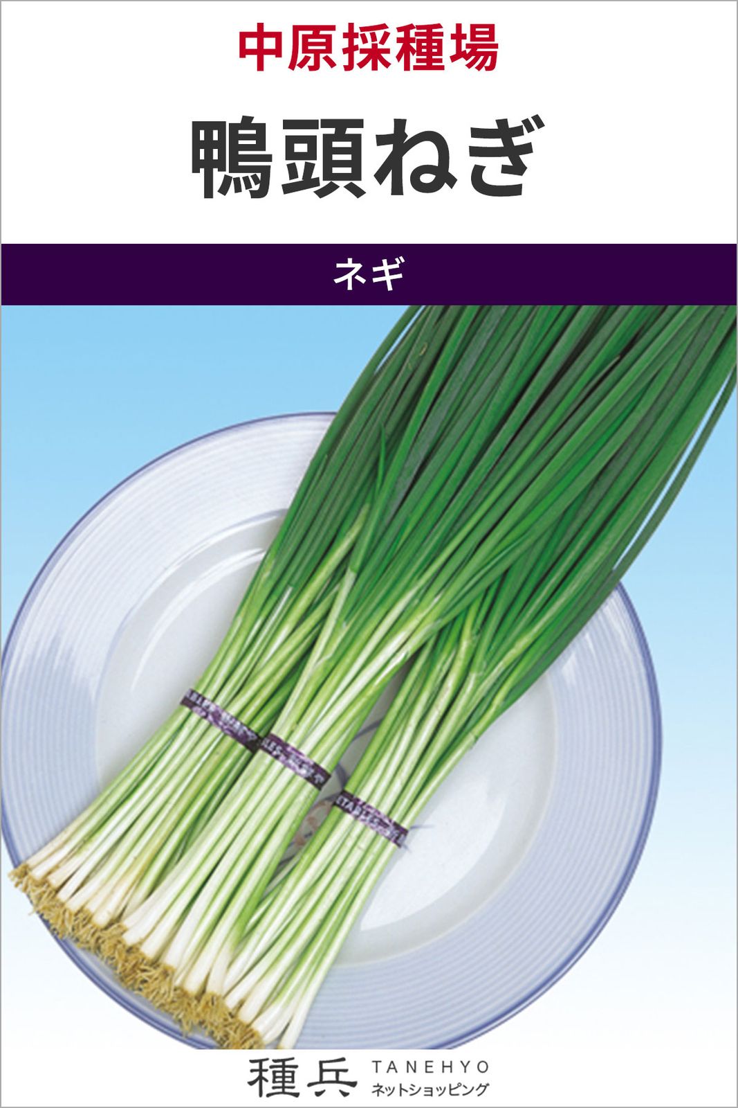 葉ネギ 種 『鴨頭ねぎ』  中原採種場