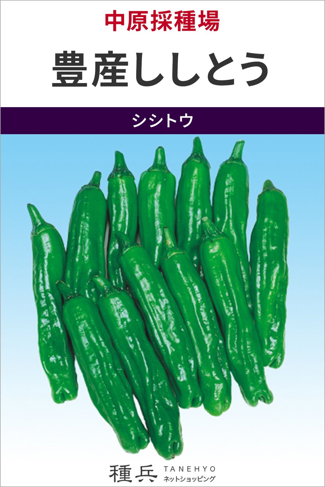 シシトウ 種 『豊産ししとう』  中原採種場