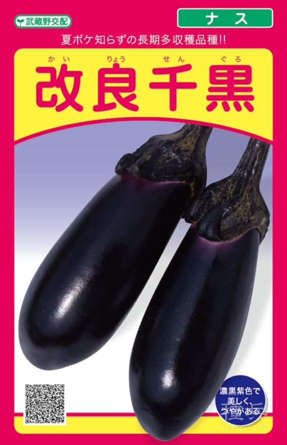 ナス 種 『改良千黒』  武蔵野種苗園