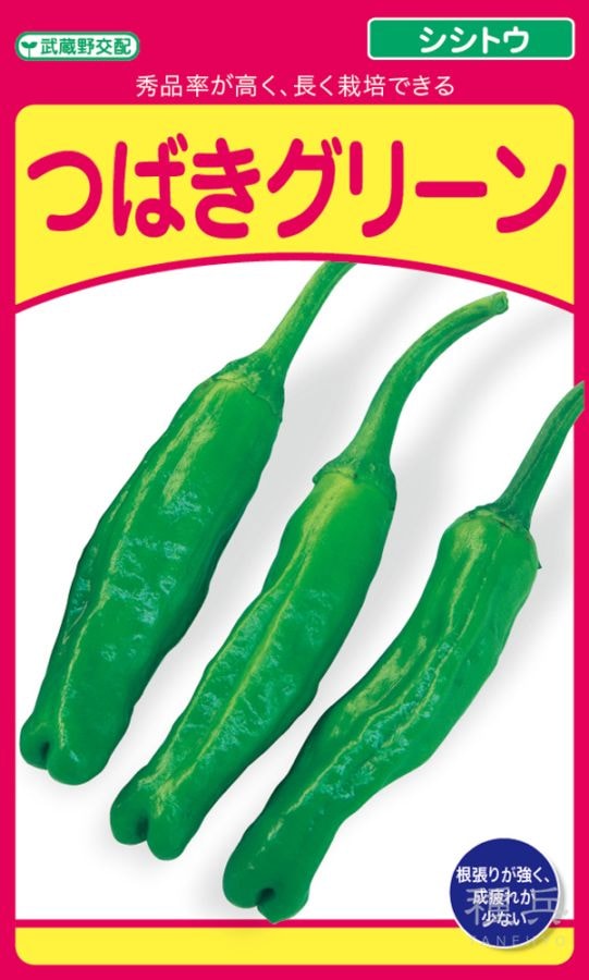 シシトウ 種 『つばきグリーン』  武蔵野種苗園