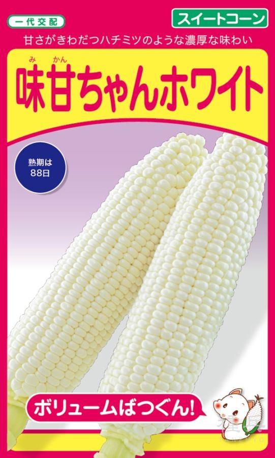 スイートコーン 種 『味甘ちゃんホワイト』  武蔵野種苗園