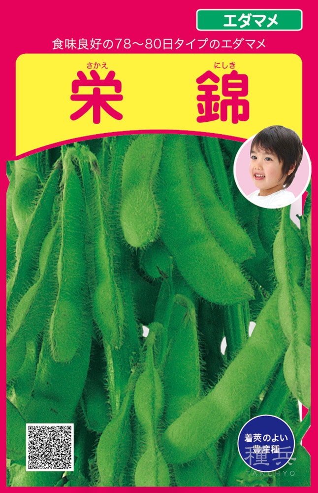 エダマメ 種 『栄錦』  武蔵野種苗園