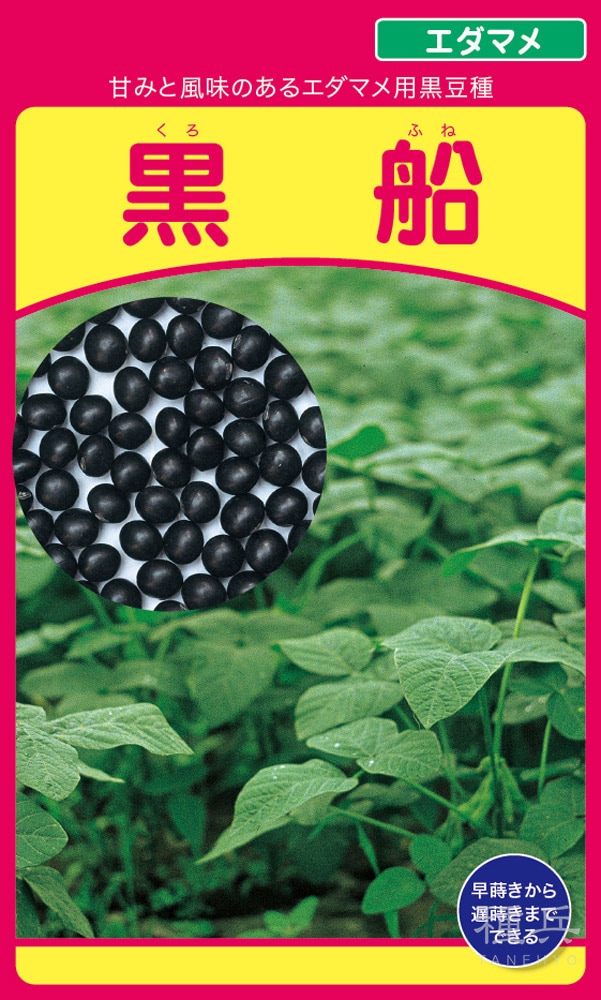 黒エダマメ 種 『黒船』  武蔵野種苗園