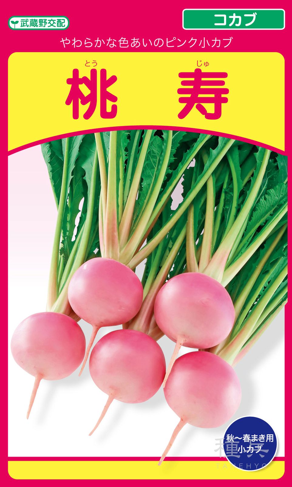 小カブ 種 『桃寿』  武蔵野種苗園