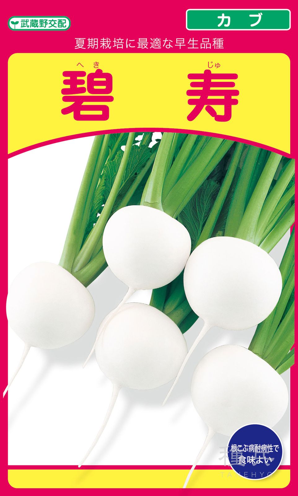 小カブ 種 『碧寿』  武蔵野種苗園