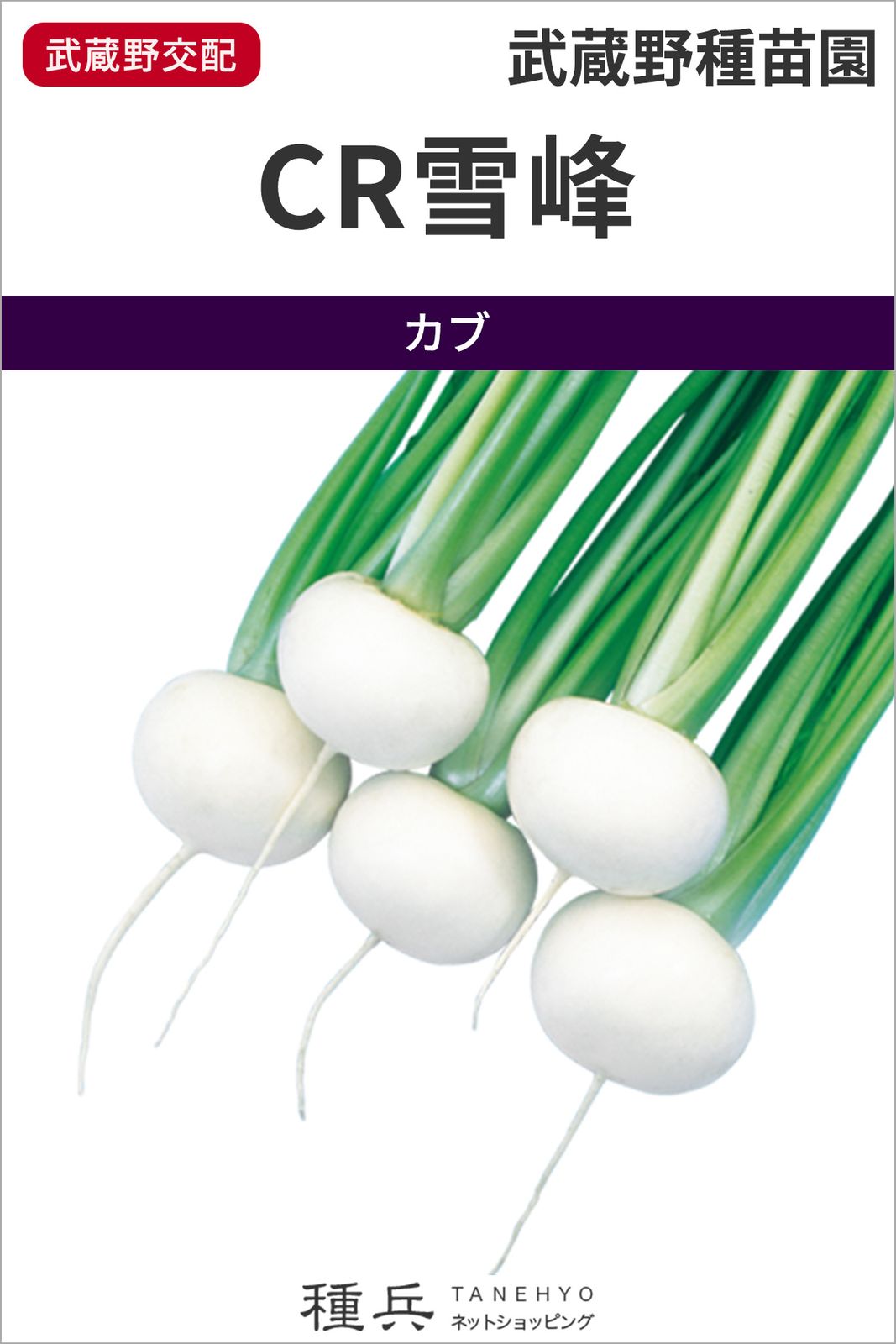 小カブ 種 『CR雪峰』  武蔵野種苗園
