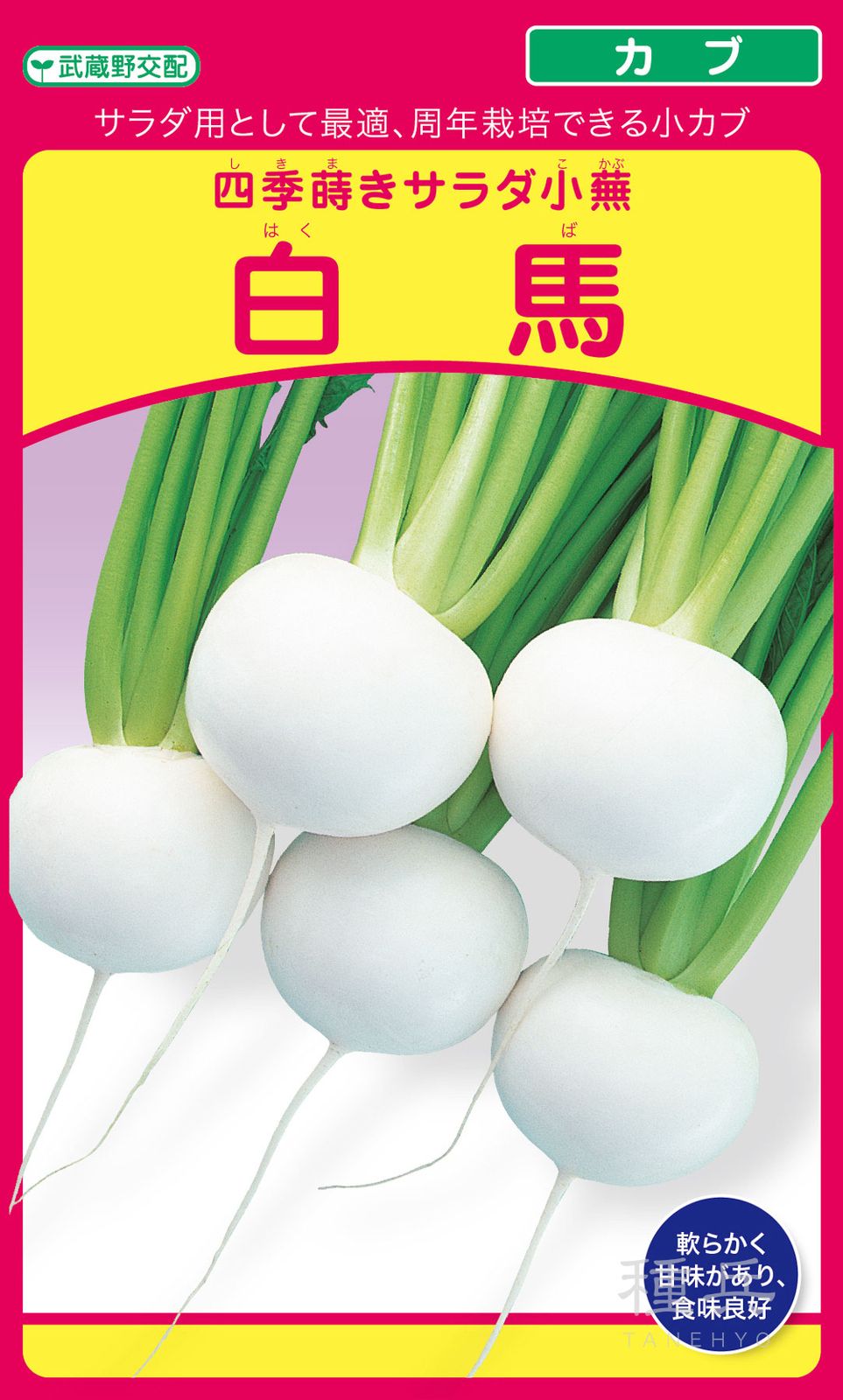小カブ 種 『白馬』  武蔵野種苗園