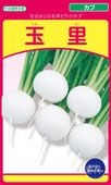 小カブ 種 『玉里』  武蔵野種苗園