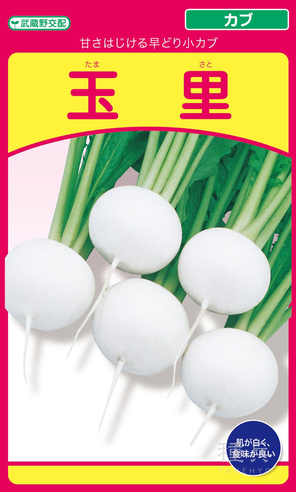 小カブ 種 『玉里』  武蔵野種苗園