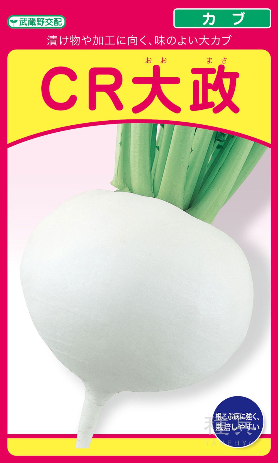 大カブ 種 『CR大政』  武蔵野種苗園