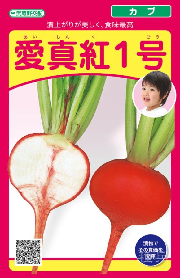 色カブ 種 『愛真紅1号』  武蔵野種苗園