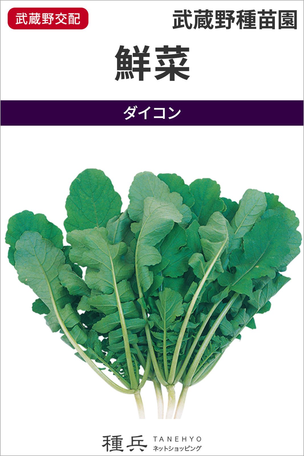 葉ダイコン 種 『鮮菜』  武蔵野種苗園