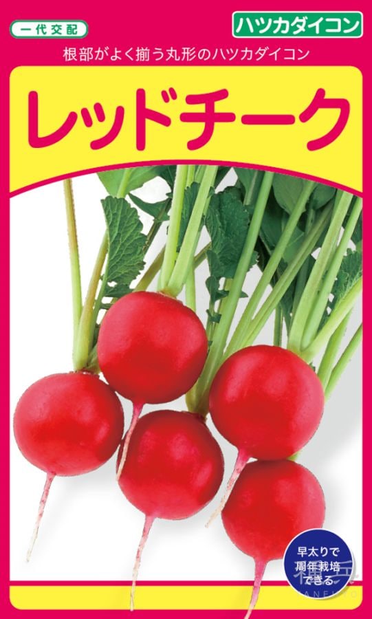 ハツカダイコン 種 『レッドチーク』  武蔵野種苗園