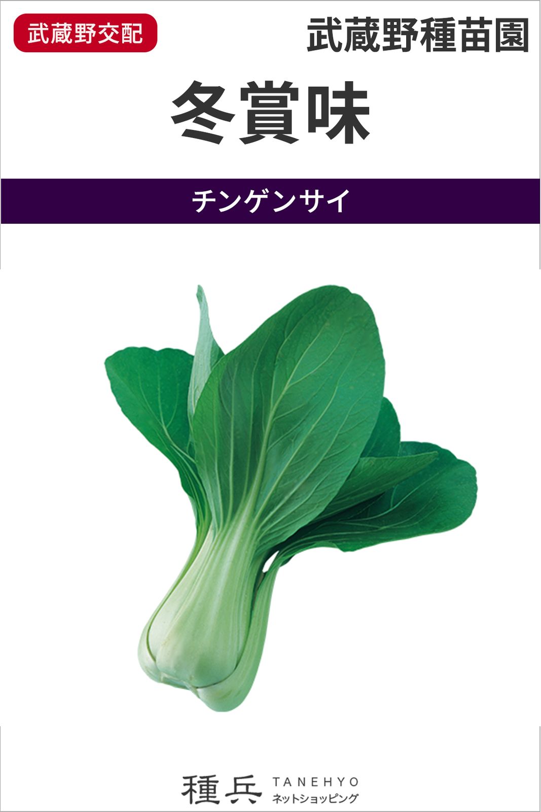 チンゲンサイ 種 『冬賞味』  武蔵野種苗園