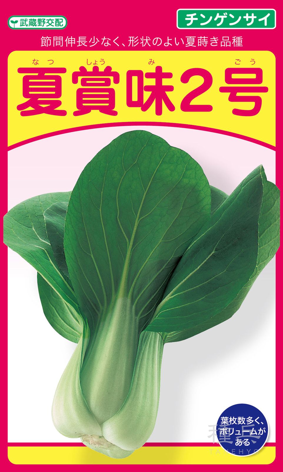 チンゲンサイ 種 『夏賞味2号』  武蔵野種苗園