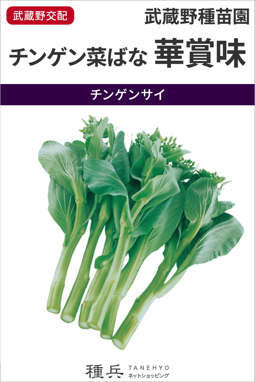とう立ち菜 種 『チンゲン菜ばな　華賞味』  武蔵野種苗園