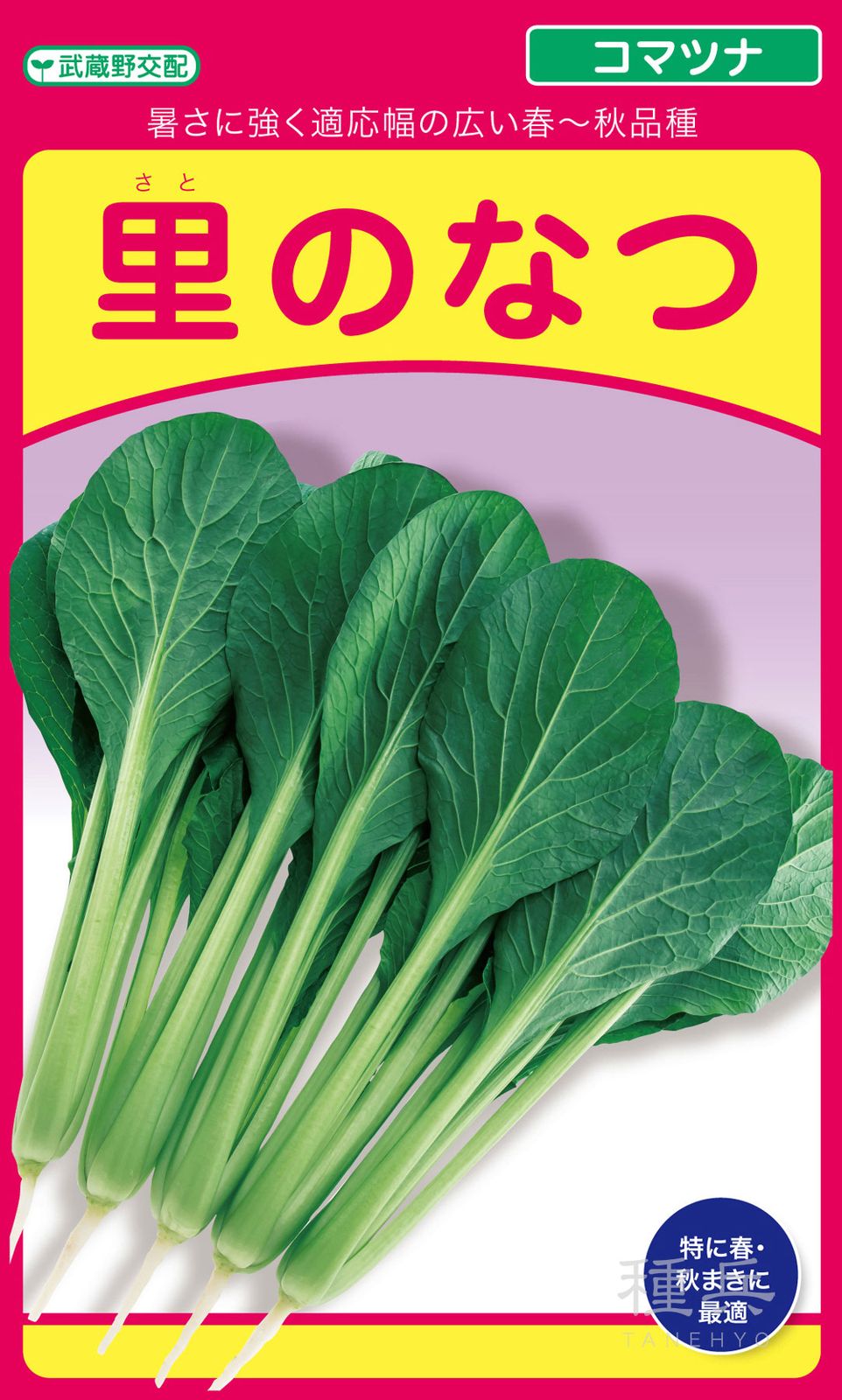 コマツナ 種 『里のなつ』  武蔵野種苗園