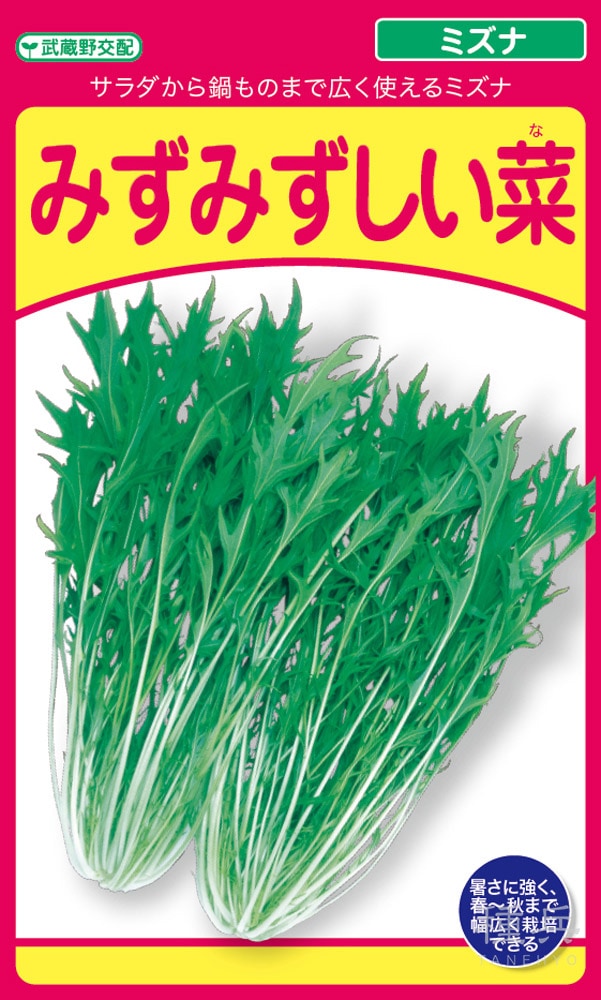 ミズナ 種 『みずみずしい菜』  武蔵野種苗園