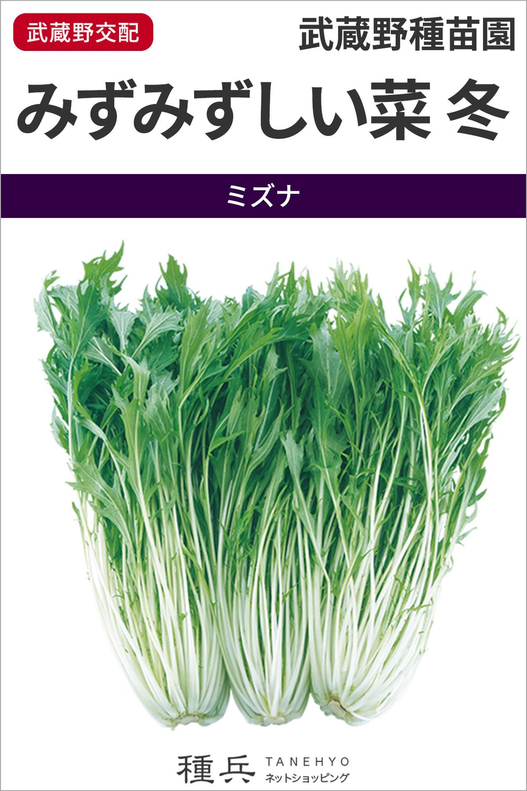 ミズナ 種 『みずみずしい菜 冬』  武蔵野種苗園