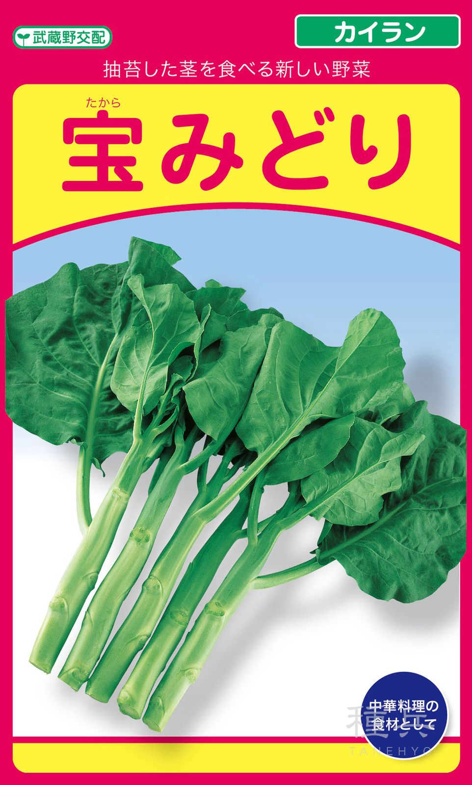 カイラン 種 『宝みどり』  武蔵野種苗園