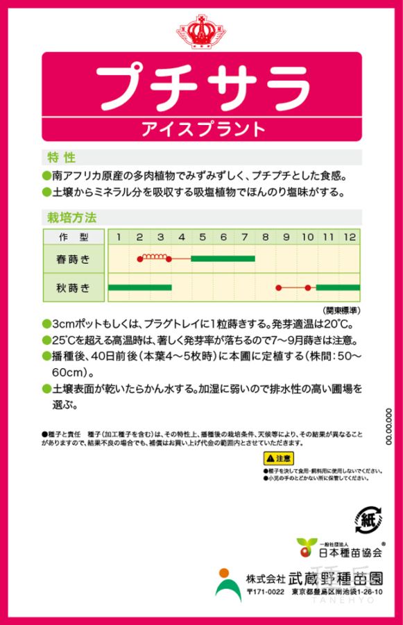 アイスプラント 種 『プチサラ』 武蔵野種苗園 | たね,葉菜の種,その他