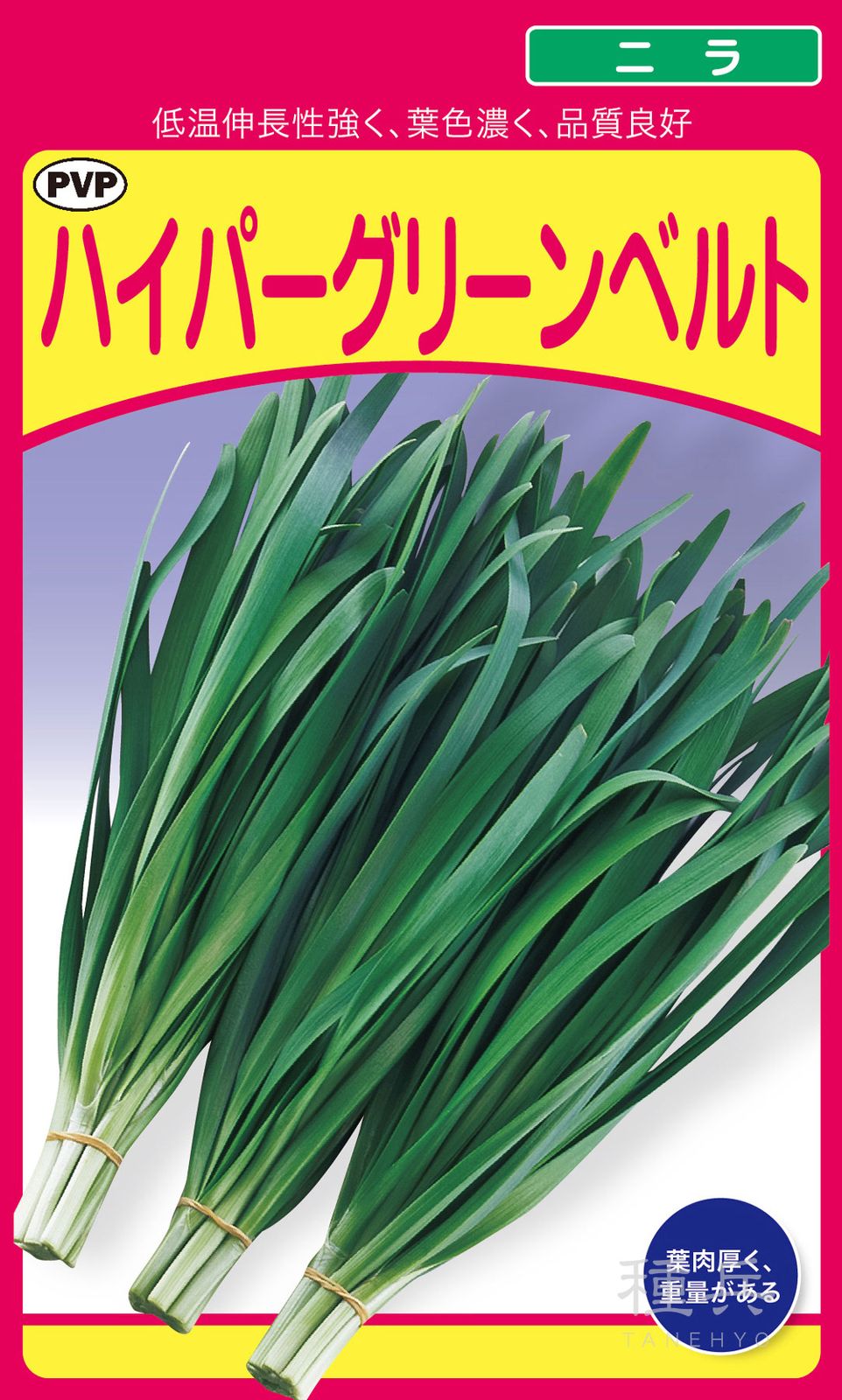 ニラ 種 『ハイパーグリーンベルト』  武蔵野種苗園
