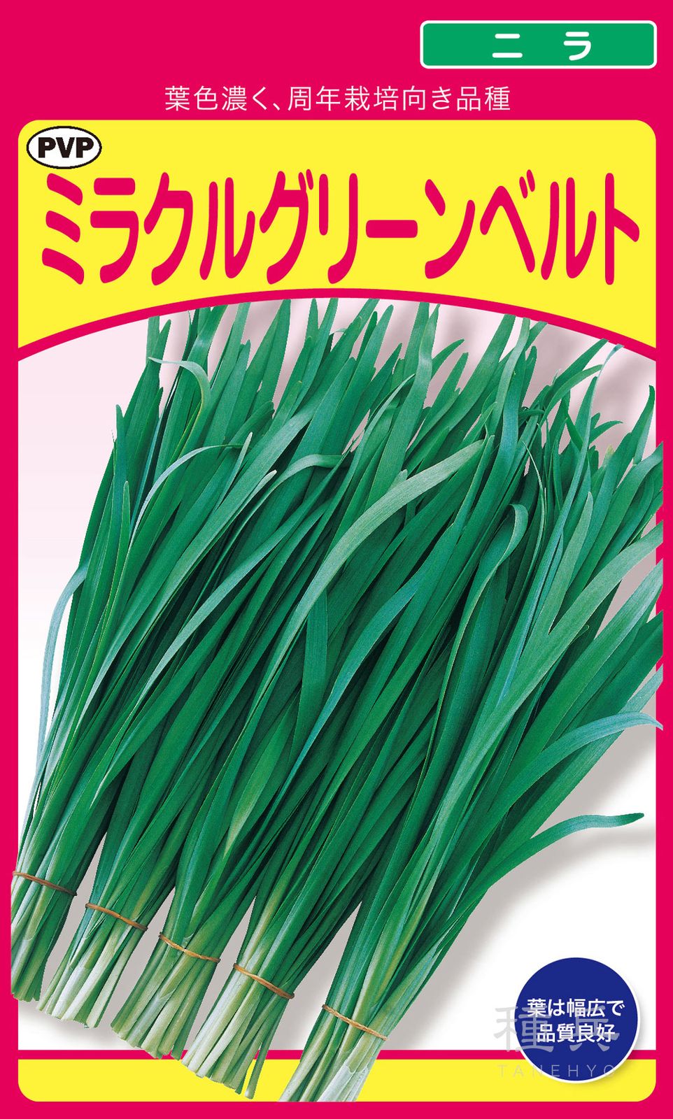ニラ 種 『ミラクルグリーンベルト』  武蔵野種苗園