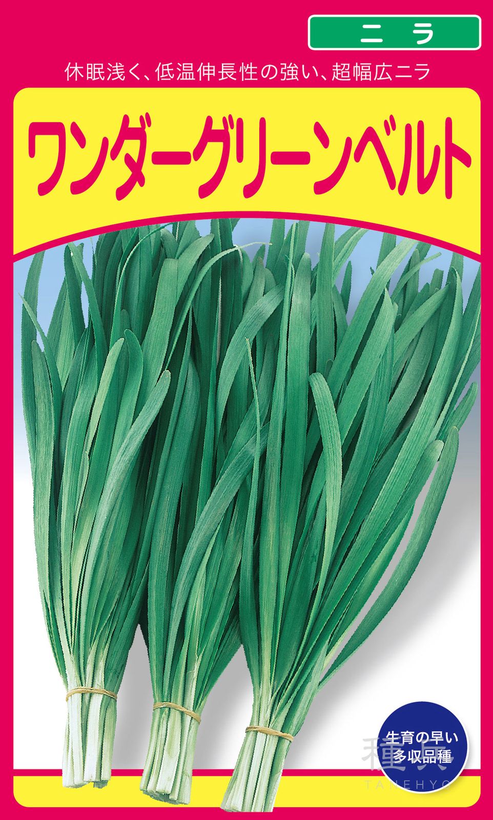ニラ 種 『ワンダーグリーンベルト』  武蔵野種苗園