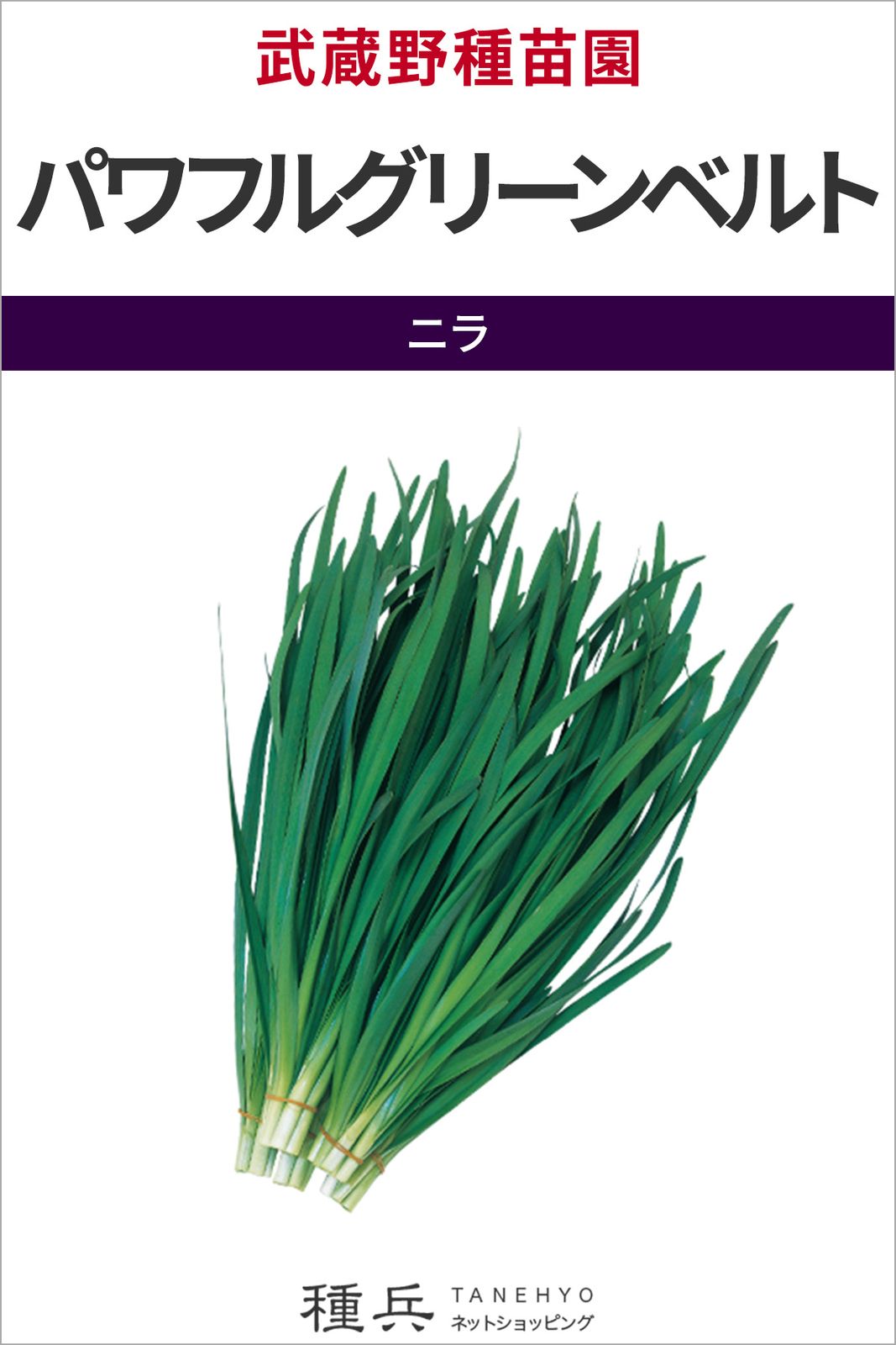 ニラ 種 『パワフルグリーンベルト』  武蔵野種苗園