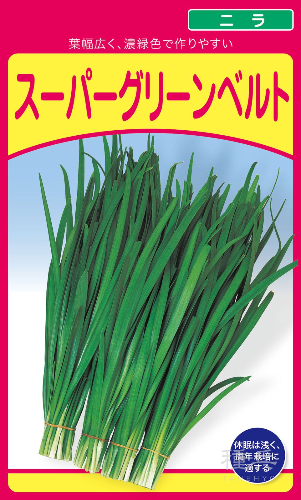 ニラ 種 『スーパーグリーンベルト』  武蔵野種苗園