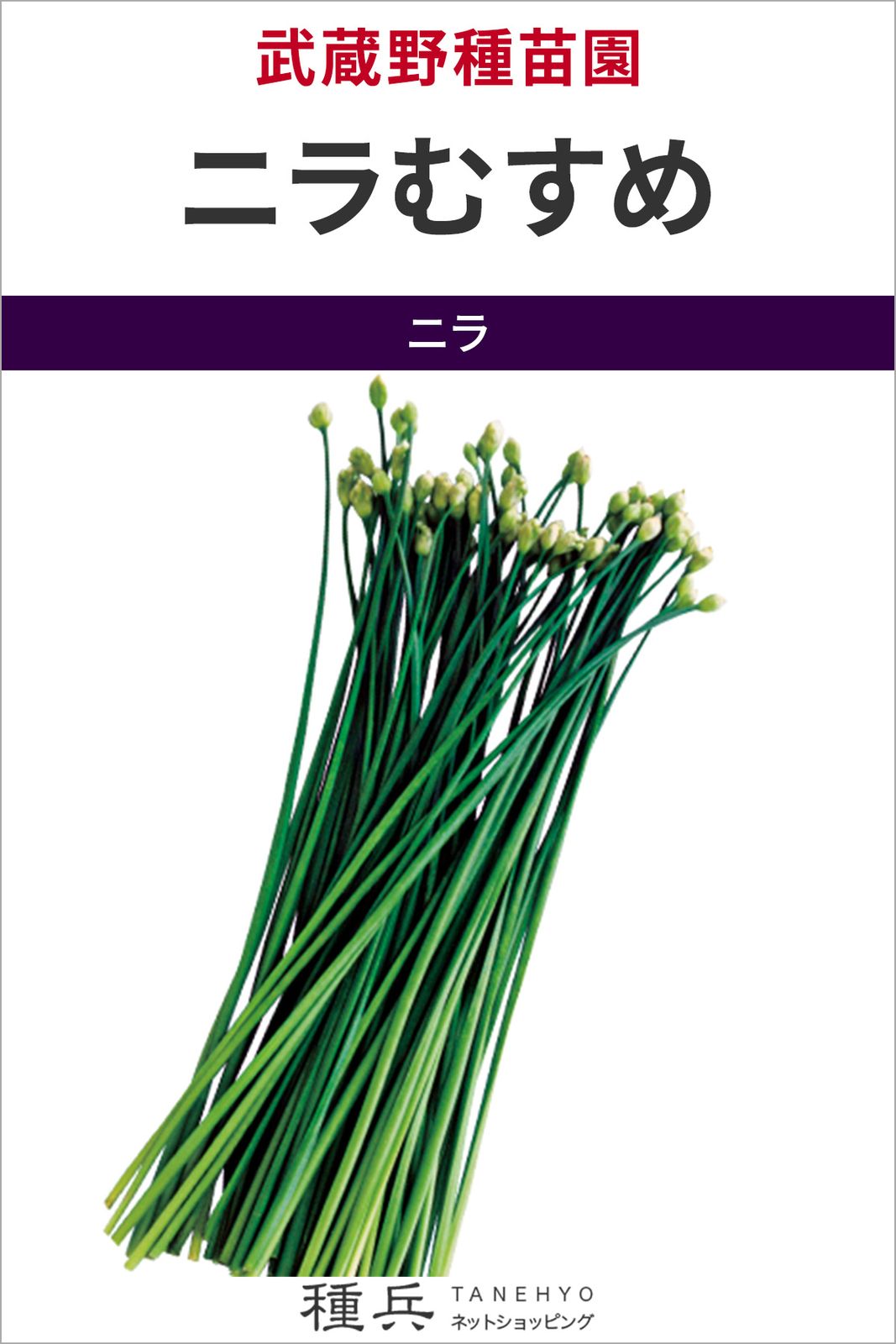 ニラ 種 『ニラむすめ』  武蔵野種苗園