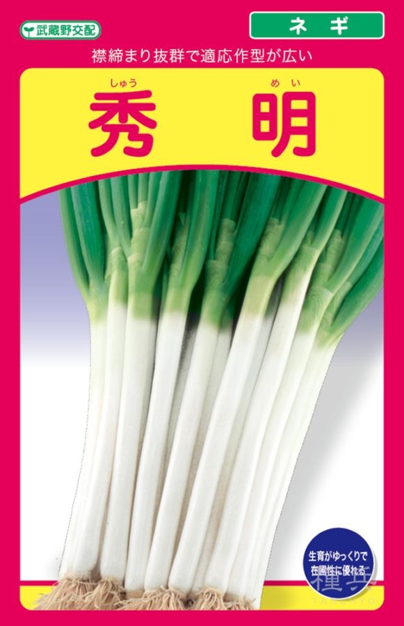 根深ネギ 種 『秀明』  武蔵野種苗園