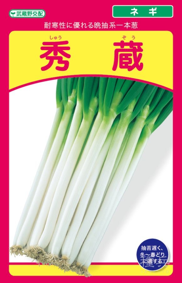 根深ネギ 種 『秀蔵』  武蔵野種苗園