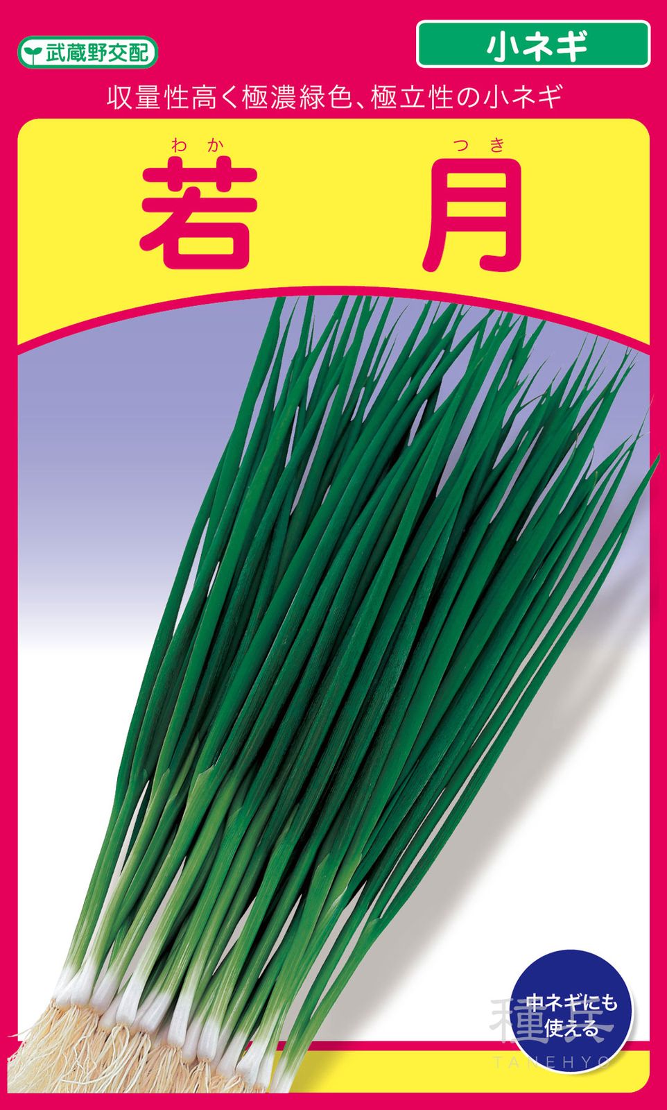 葉ネギ 種 『若月』  武蔵野種苗園