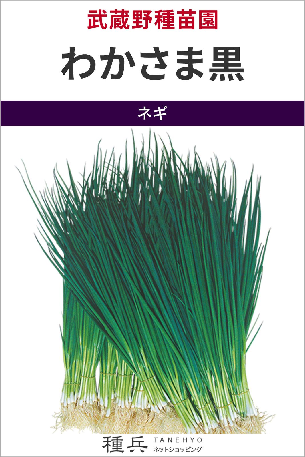 葉ネギ 種 『わかさま黒』  武蔵野種苗園