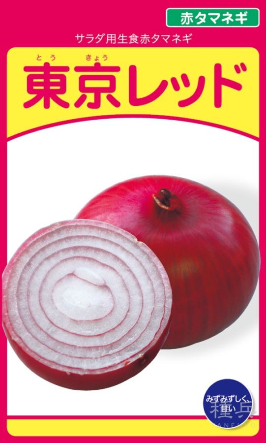 赤タマネギ 種 『東京レッド』  武蔵野種苗園