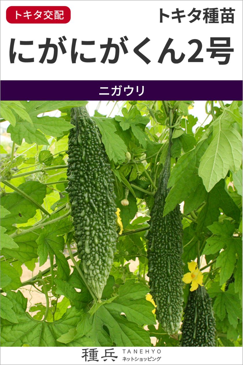 たね,果菜の種,ゴーヤ | 種兵ネットショッピング
