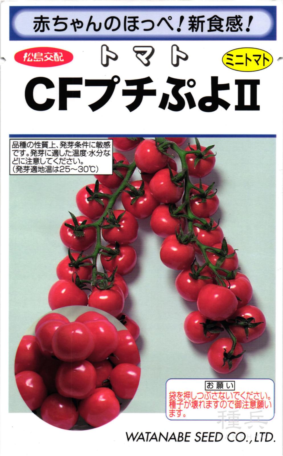 ミニトマト 種 『CFプチぷよII』  渡辺採種場