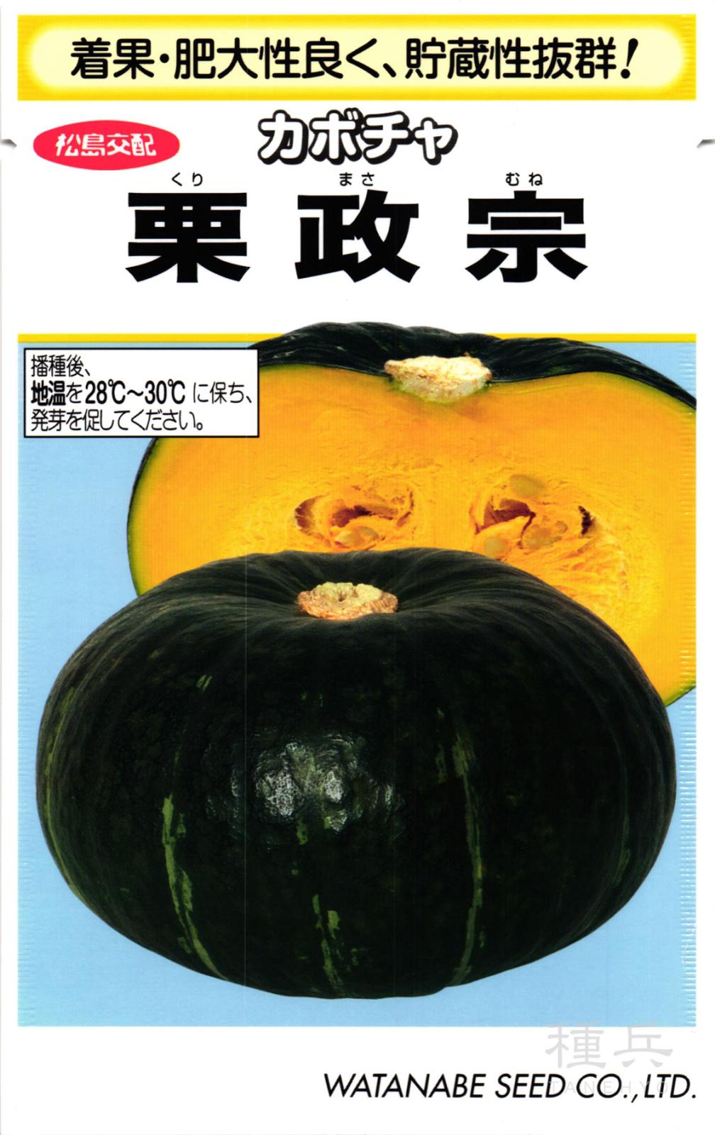栗カボチャ 種 『栗政宗』  渡辺採種場