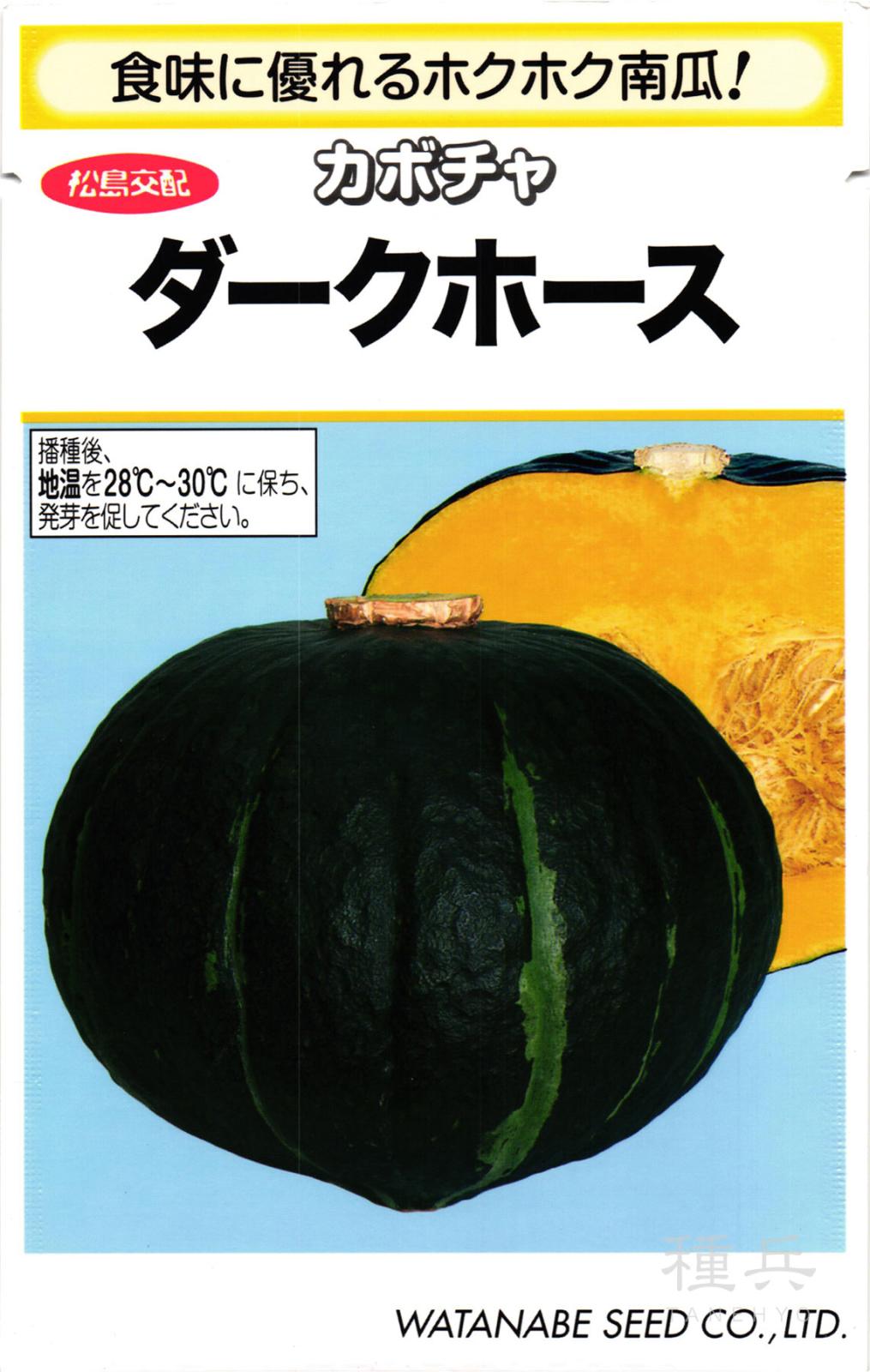 栗カボチャ 種 『ダークホース』  渡辺採種場