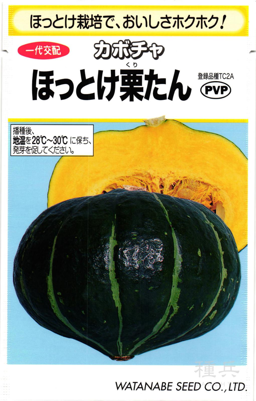 栗カボチャ 種 『ほっとけ栗たん』  渡辺採種場
