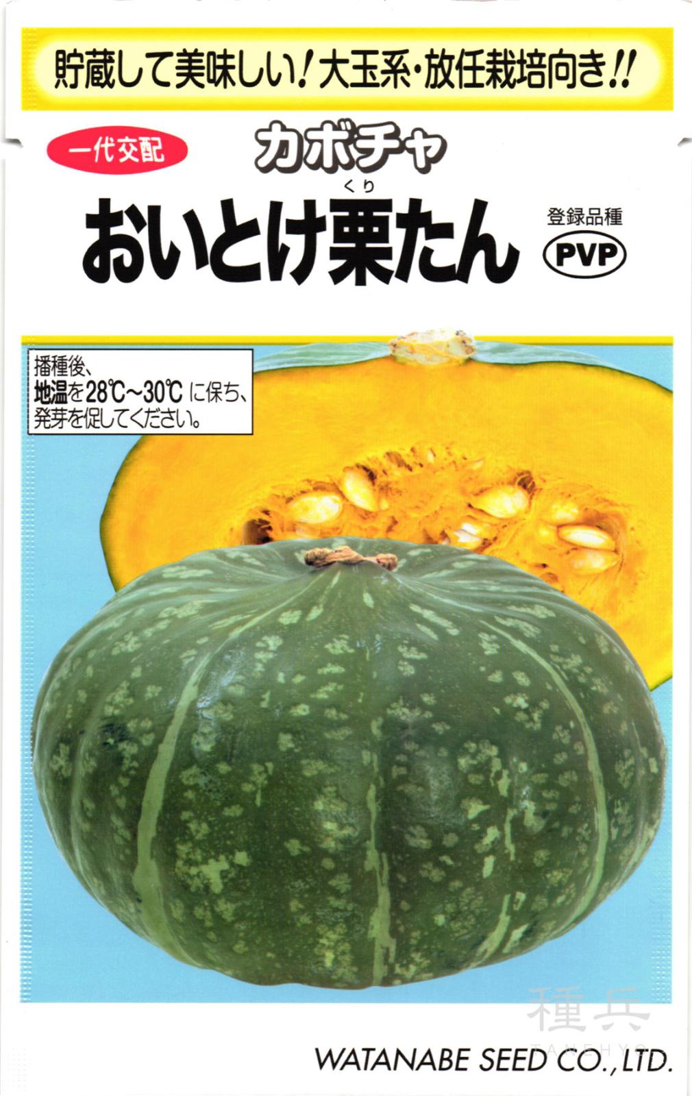 栗カボチャ 種 『おいとけ栗たん』  渡辺採種場