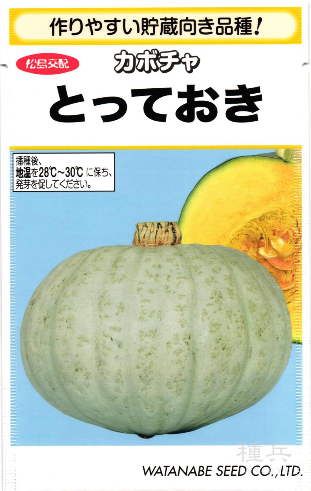 白皮カボチャ 種 『とっておき』  渡辺採種場