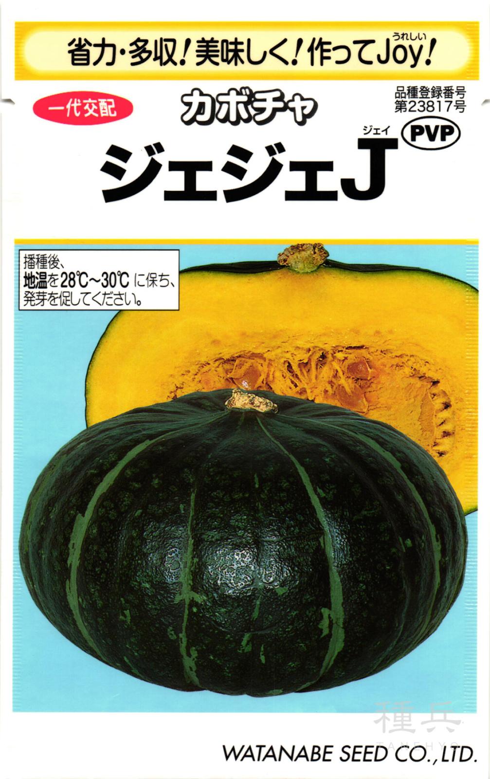 栗カボチャ 種 『ジェジェJ』  渡辺採種場