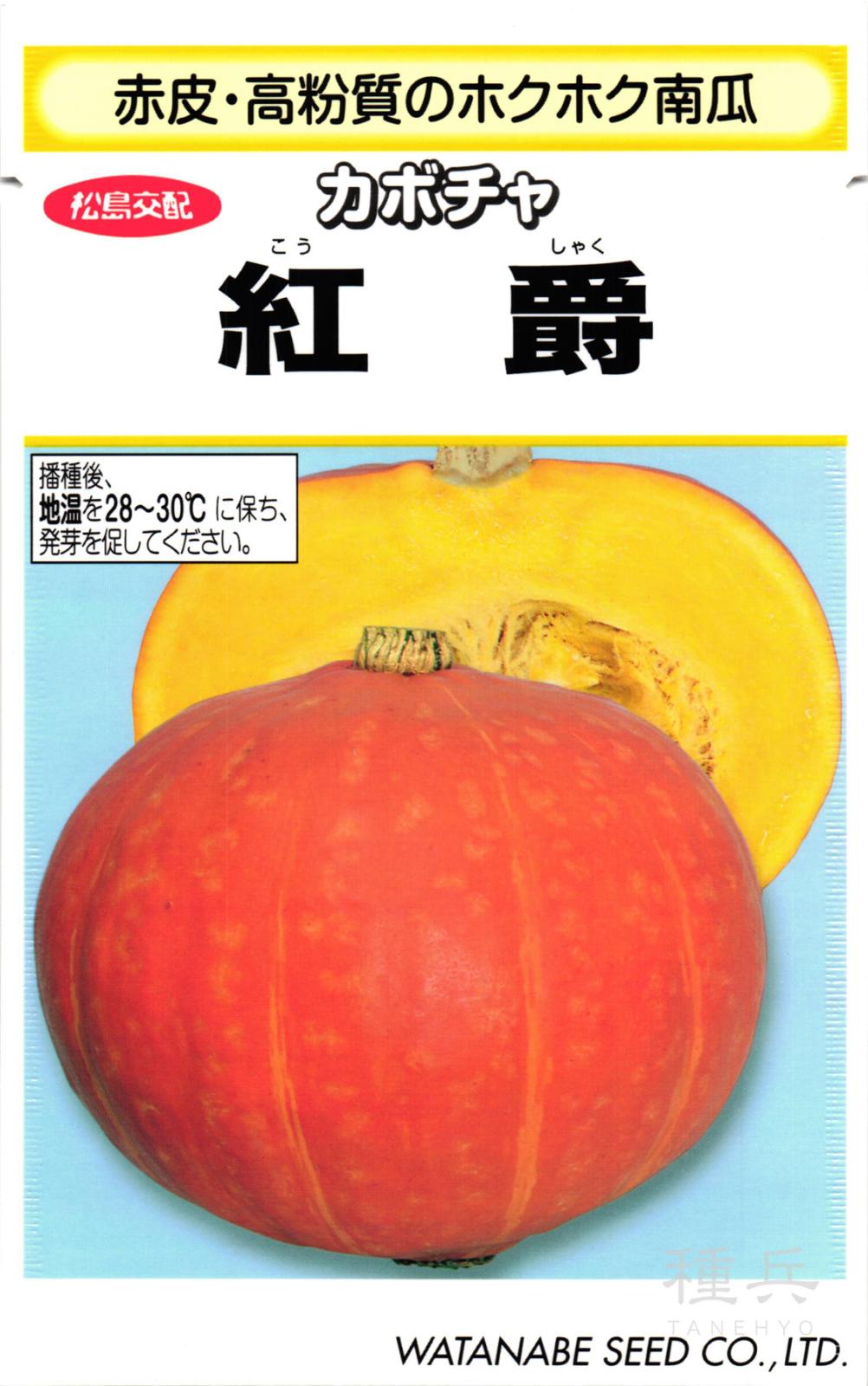 赤皮カボチャ 種 『紅爵』  渡辺採種場